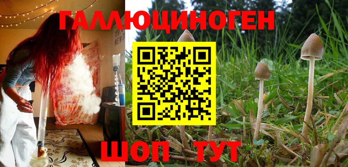 Псилоцибиновые грибы ЛСД Похвистнево