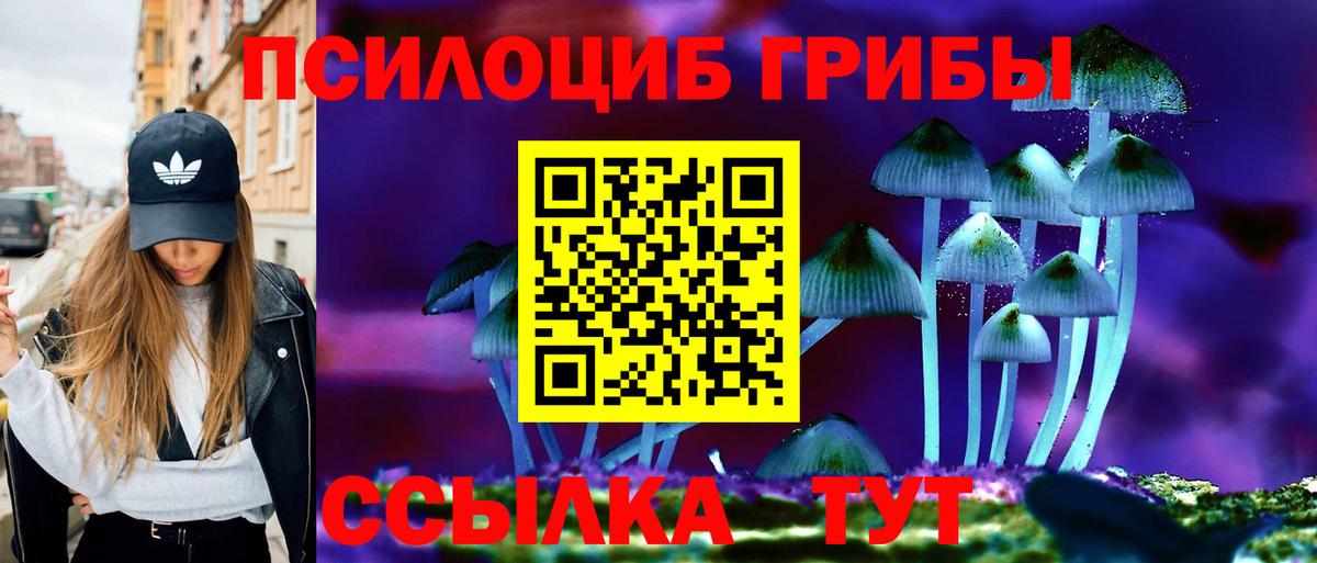 Псилоцибиновые грибы MAGIC MUSHROOMS  магазин    Похвистнево  Вход с VPN 